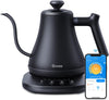 Variable Temperature Gooseneck Pour Over Kettle With Alexa Control